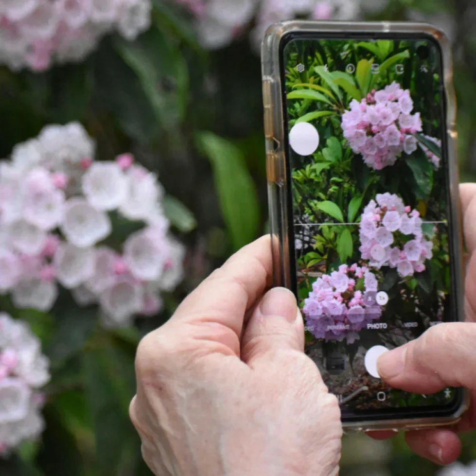 Grünes Gallustal an den Green Days 2026