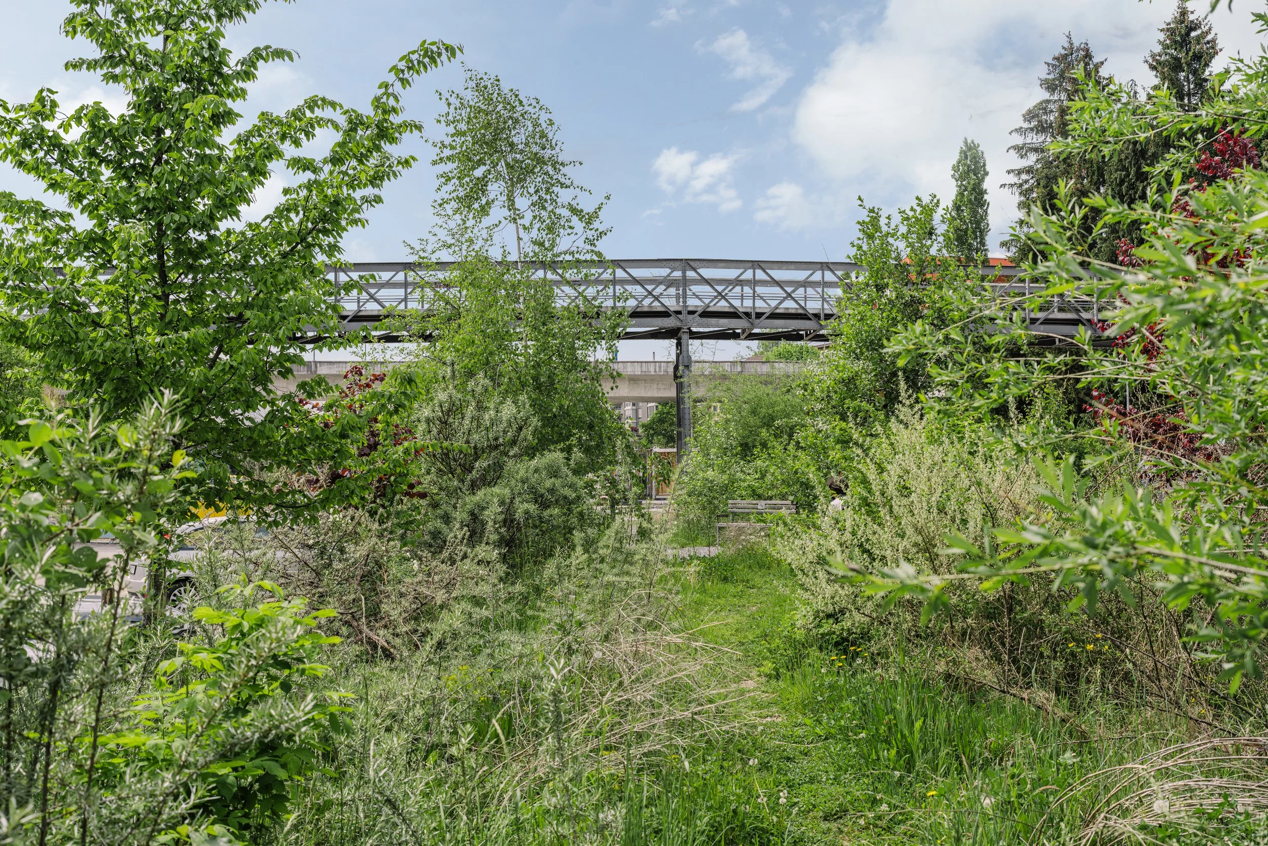 Areal_Bach-22.jpg