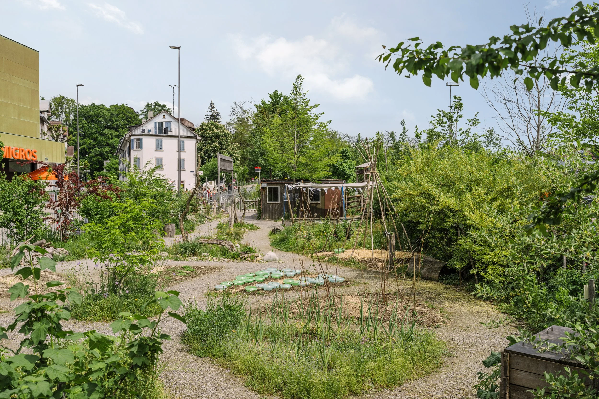 Areal_Bach-24.jpg