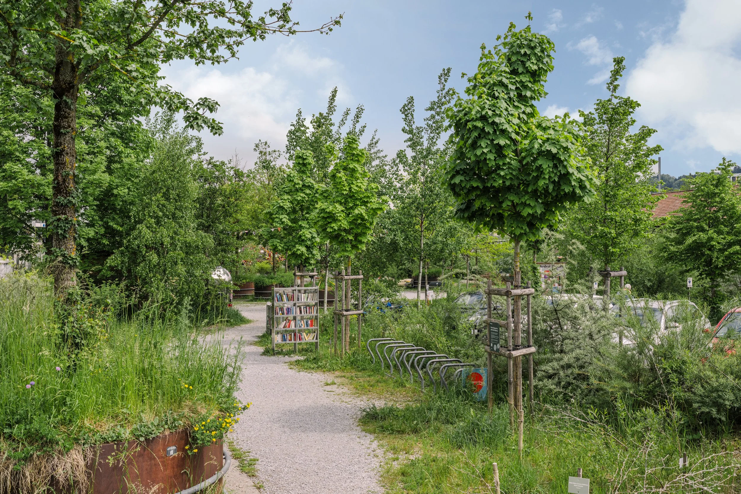 Areal_Bach-43.jpg