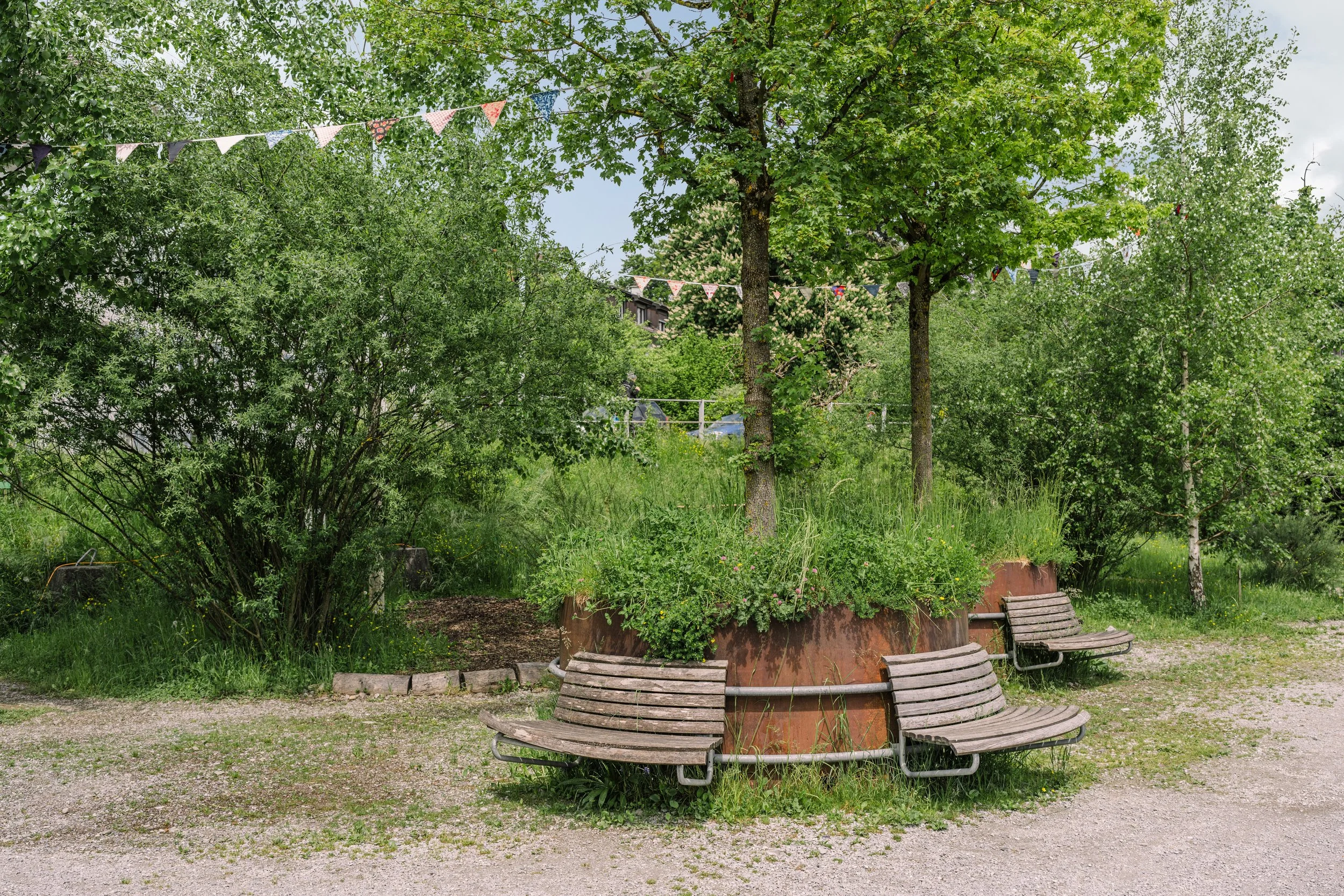 Areal_Bach-55.jpg