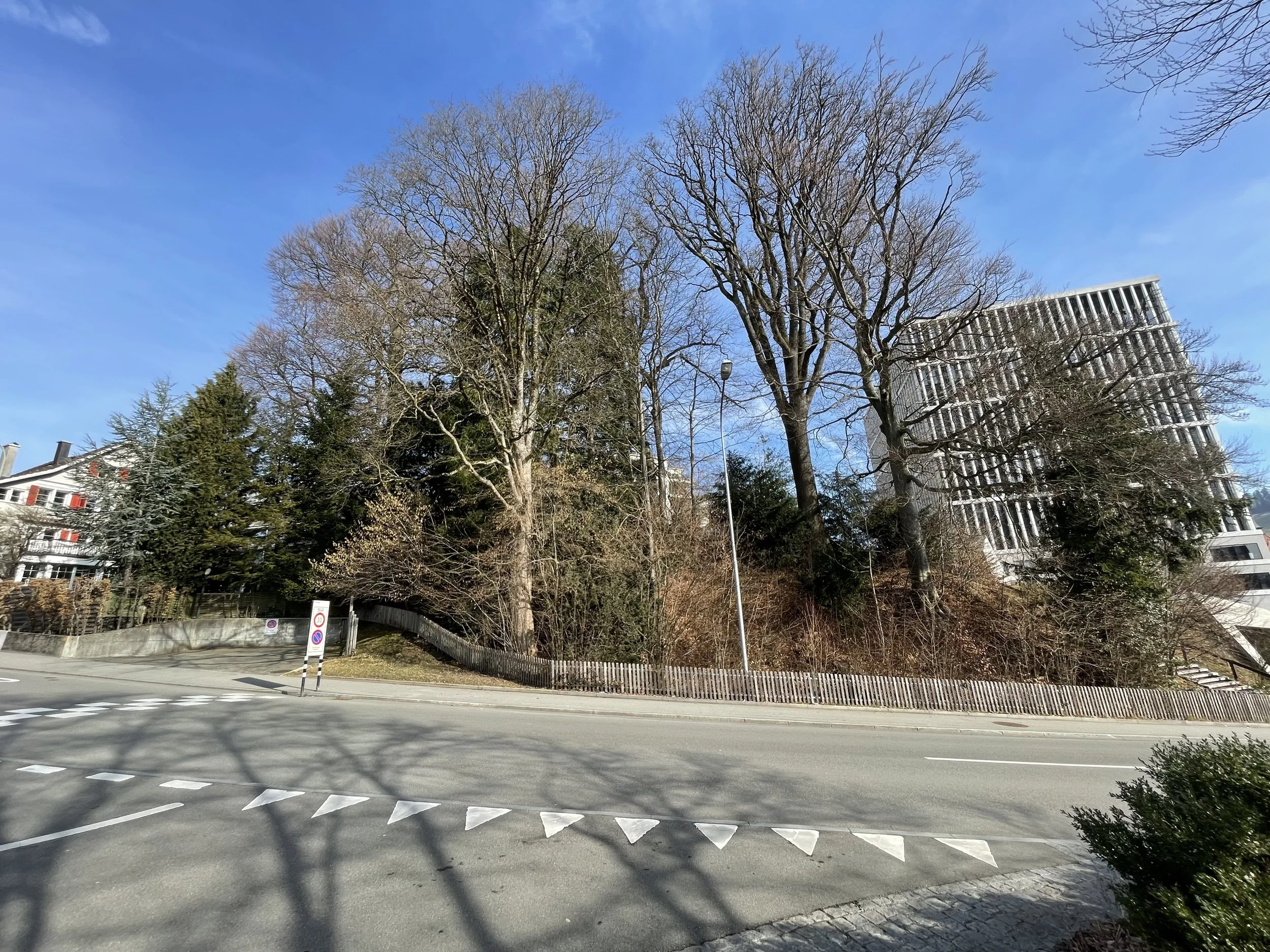 Waldstück beim Bundesverwaltungsgericht unter Druck