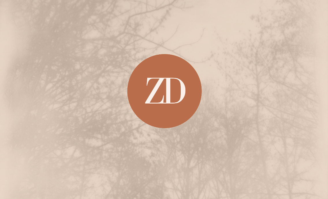 visuel_accueil_zoedollet_new-03.png