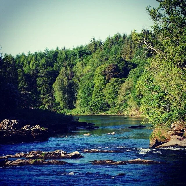 Looking down the River Eden from below Force Mill