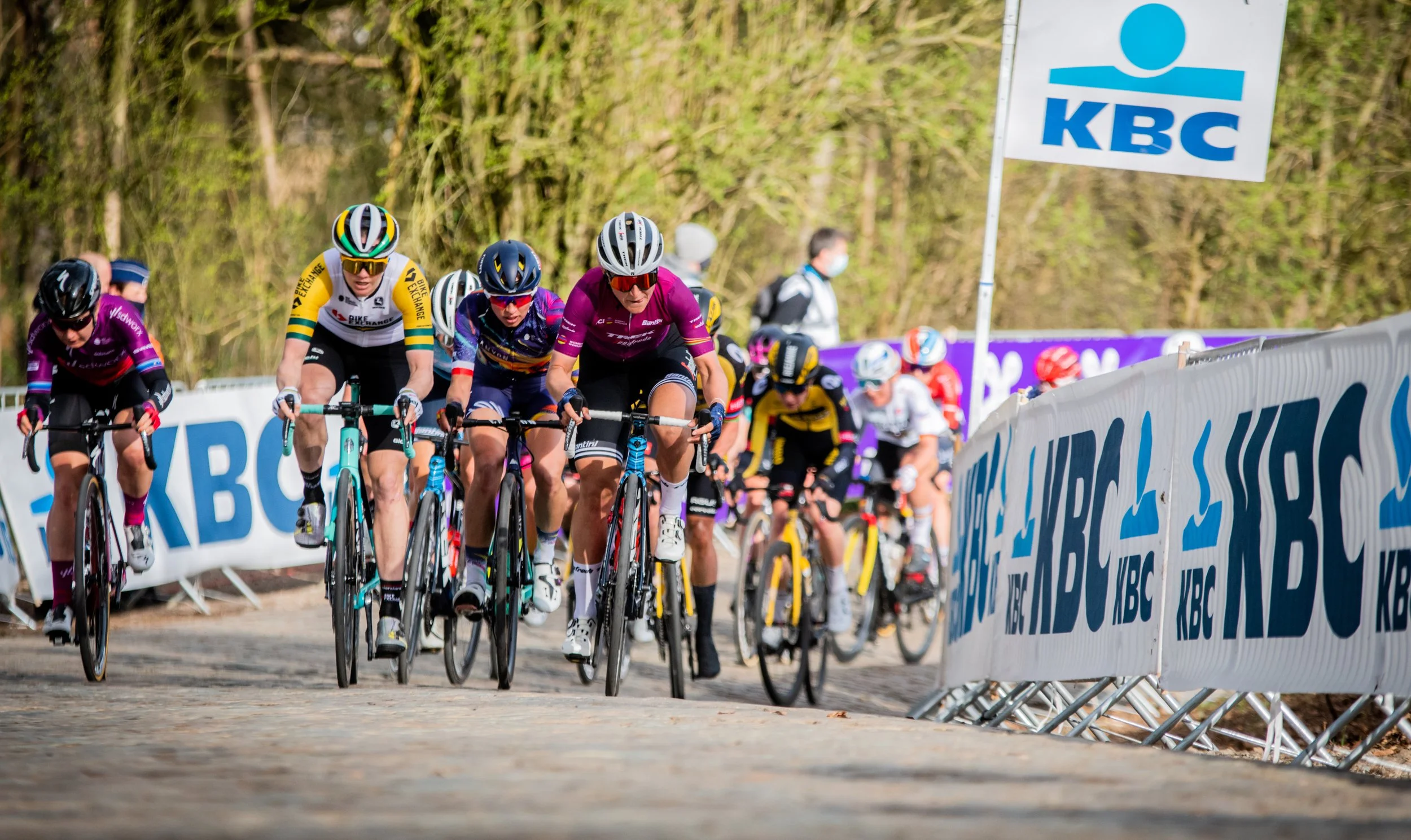 Proyección en Directo GANTE WEVELGEM 2022