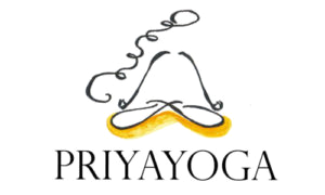 priya log.png