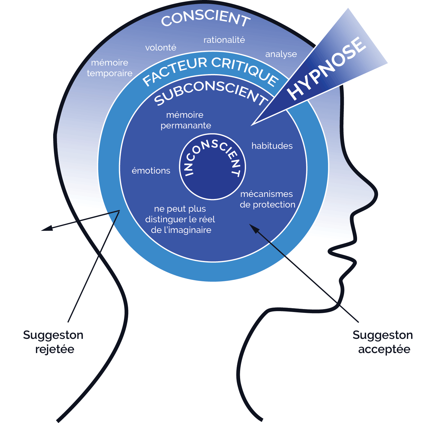 Schéma de la conscience humaine illustrant différents niveaux, y compris inconscient, subconscient, critique, et conscient. Montrant également l'influence de l'hypnose, avec des annotations sur les mécanismes de protection, les habitudes, les émotions, et la mémoire. Deux flèches indiquent si la suggestion est rejetée ou acceptée, pointant vers le dehors ou l'intérieur de la tête.