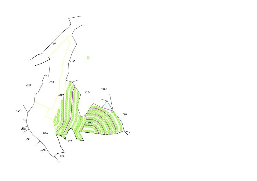 Avocado Orchard Design 