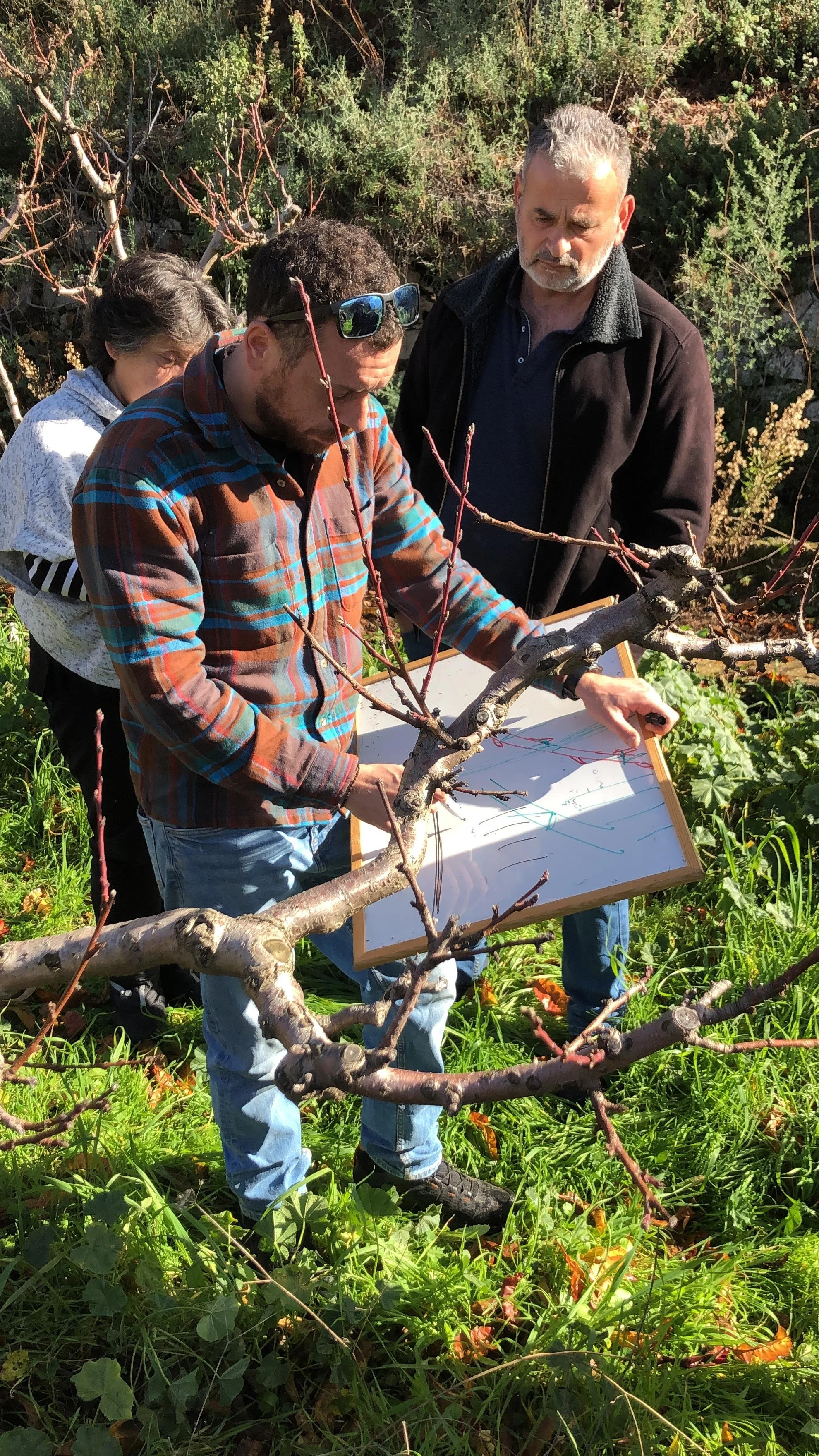 Consultation on field for orchard management