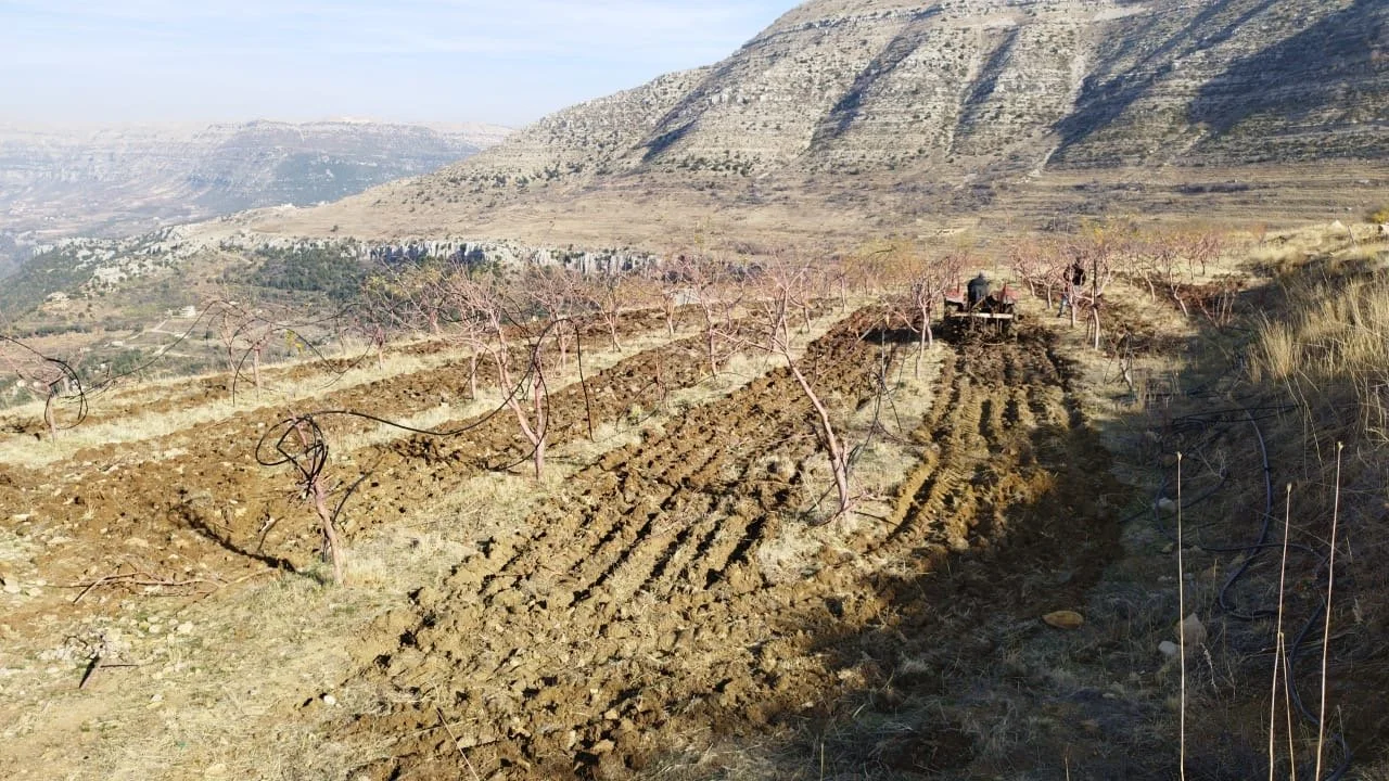 Farm landscape high altitude farming