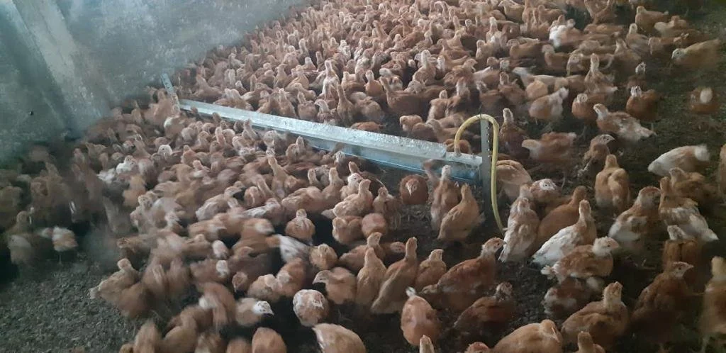 PHOTO-2021-06-15-08-22-07 2.jpg