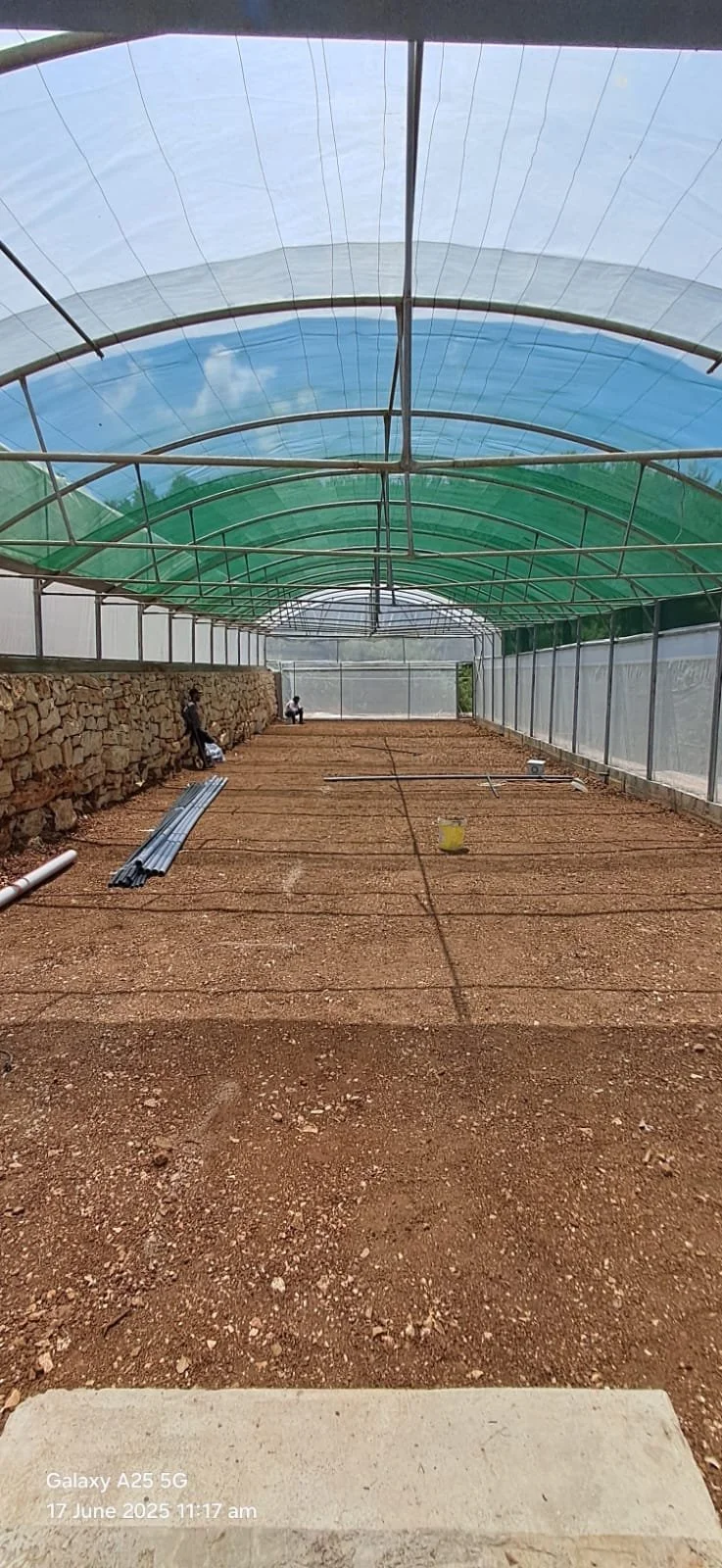 Hydroponic greenhouse preparation 