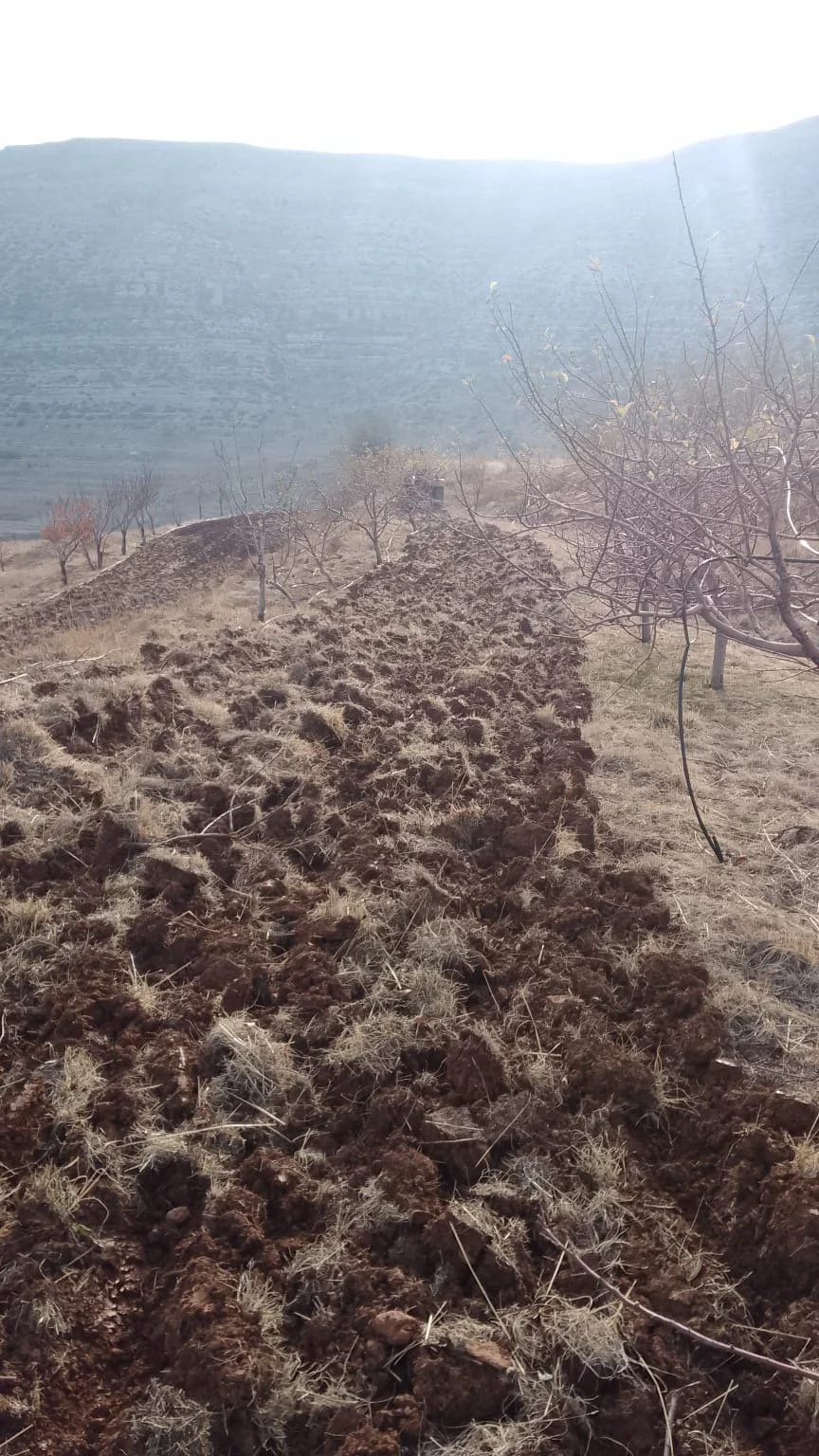 Planting cover crops 