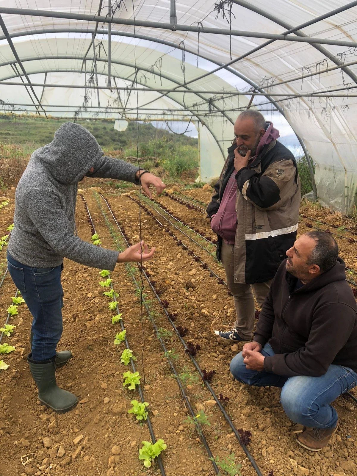 Greenhouse Management Training