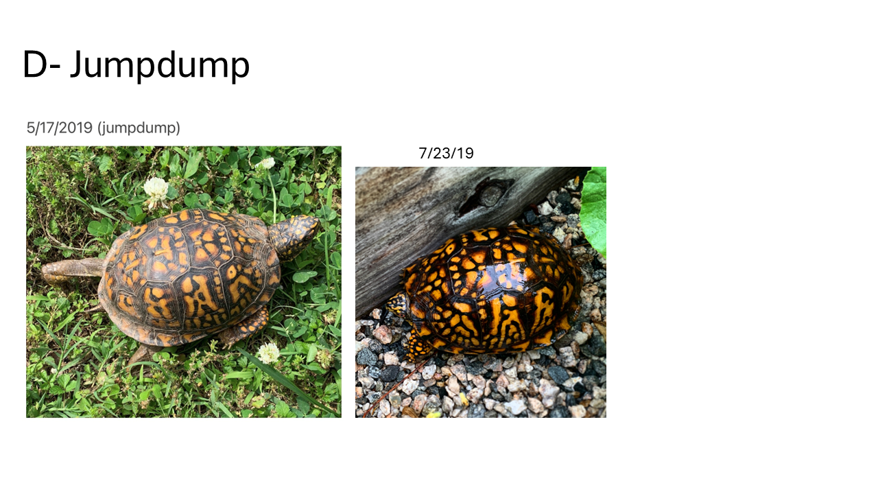 Slide4.PNG