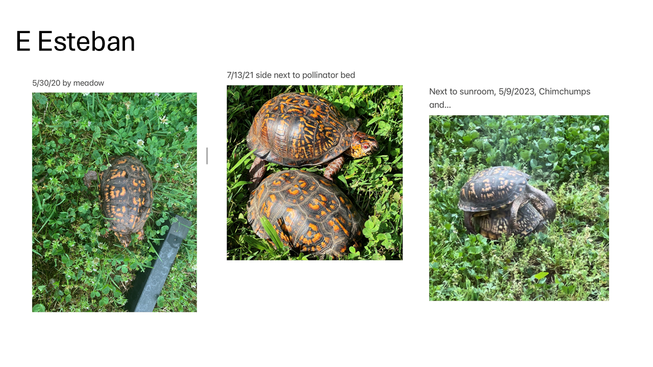 Slide5.PNG