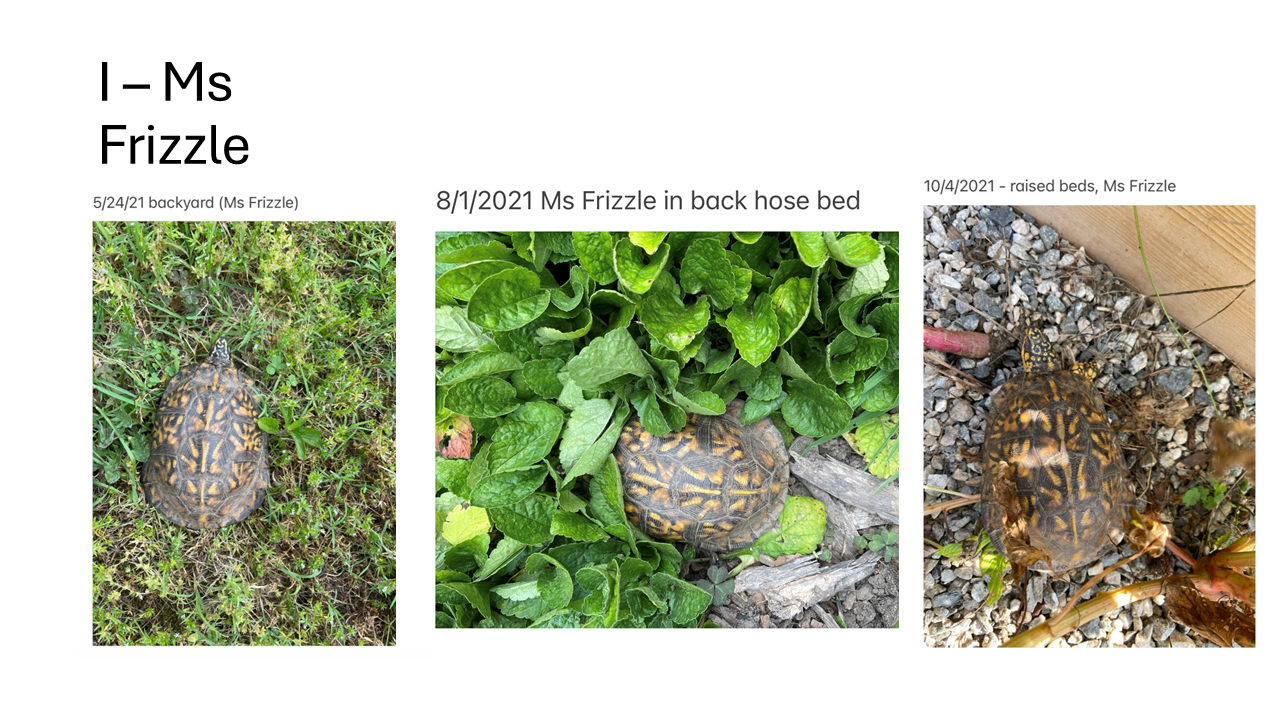 Slide9.PNG