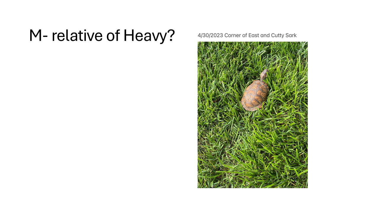 Slide13.PNG