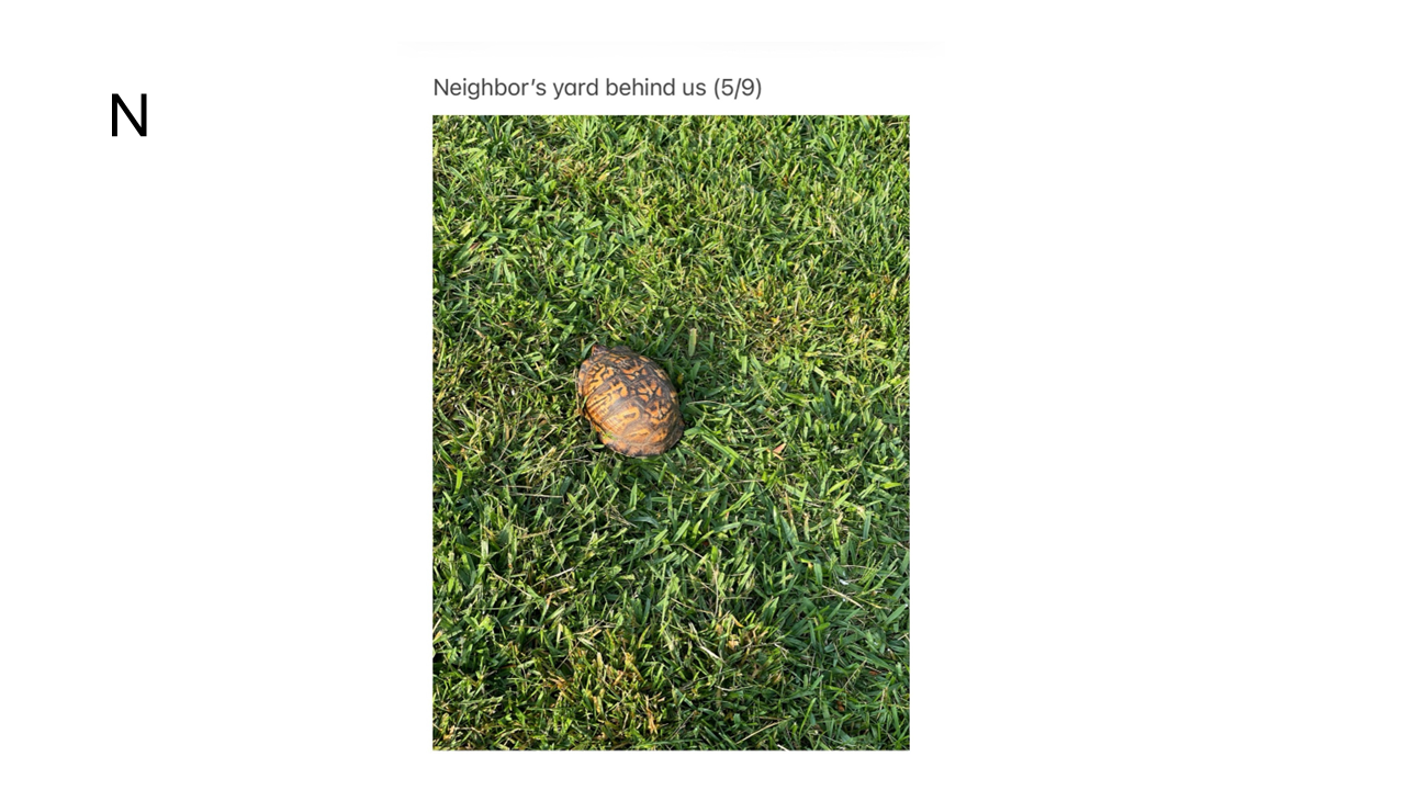 Slide14.PNG