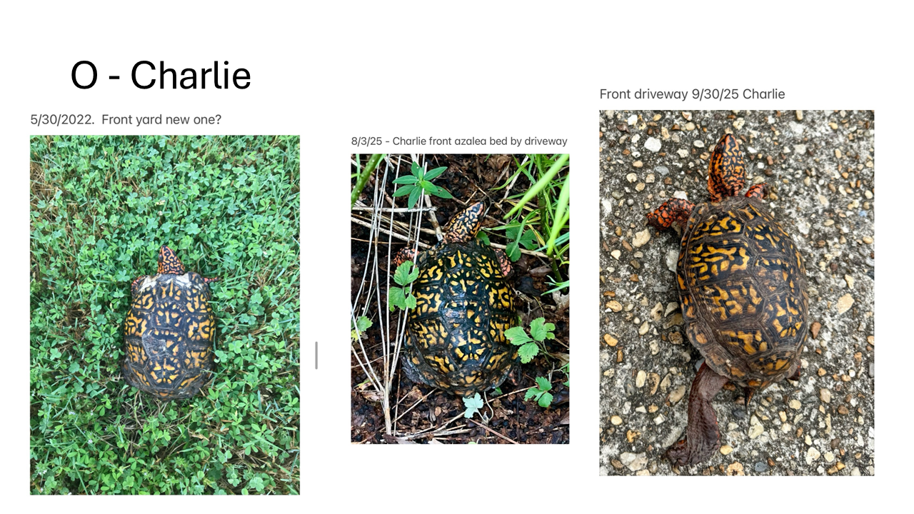 Slide15.PNG