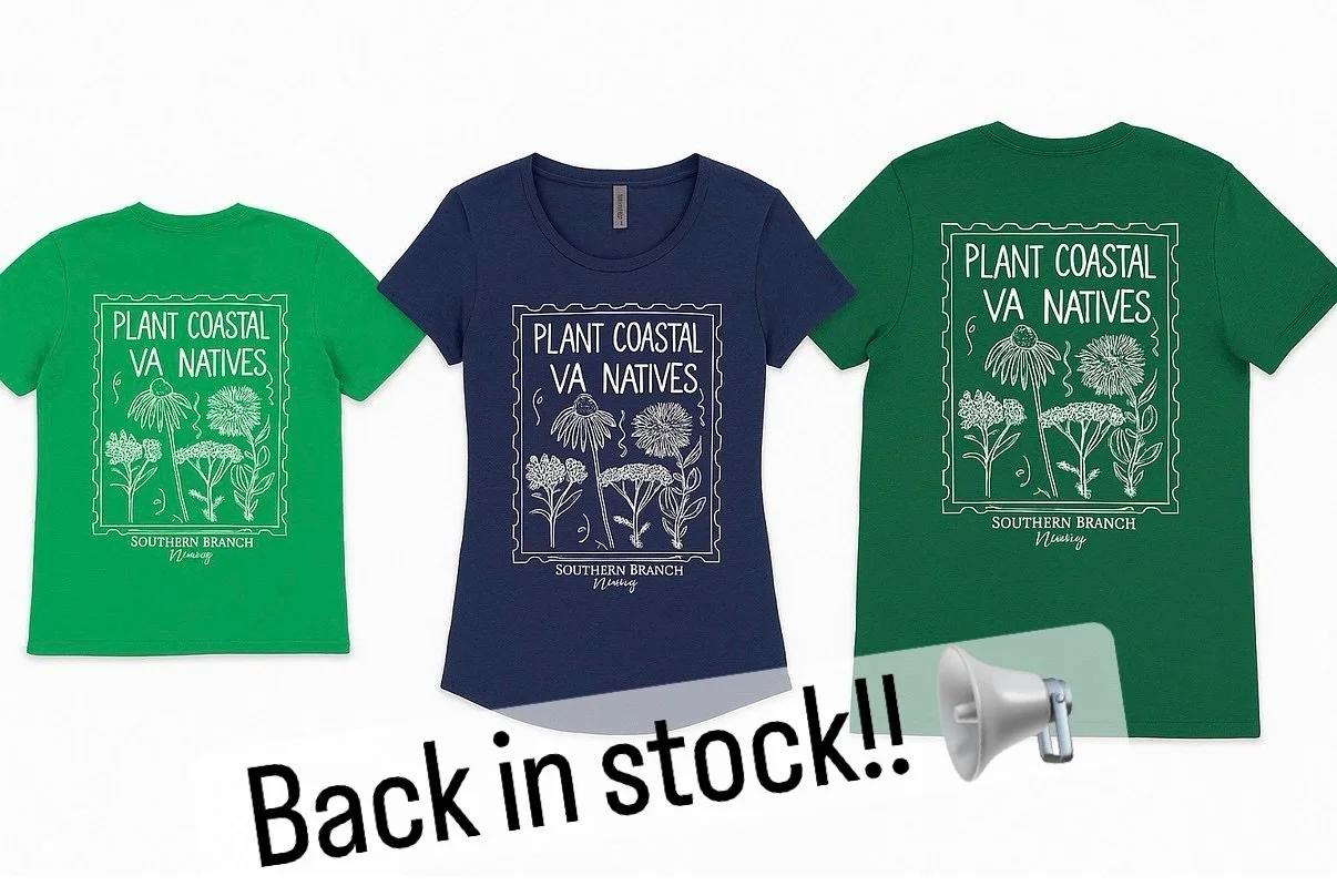 🌿 Restocked &amp; Ready! 🌿
Our native plant T-shirts are BACK in stock &mdash; in unisex, women&rsquo;s, and kids&rsquo; sizes! 🎉

👕 Whether you&rsquo;re repping your plant love or grabbing one for a gift, swing by Southern Branch Nursery this we