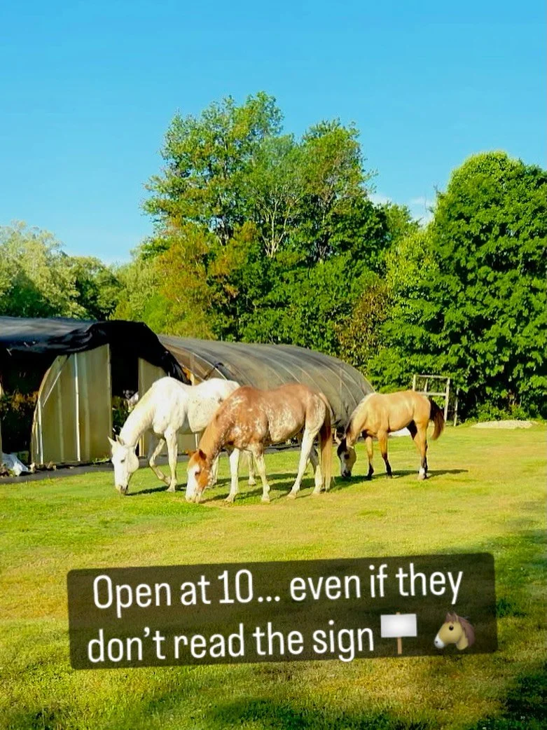 Our first visitors of the day showed up bright and early&hellip; and helped themselves to breakfast 🌿🐴

We love the enthusiasm&mdash;but just like these guys, we&rsquo;ve got a lot to take care of before we open.

A quick reminder:
Retail hours are