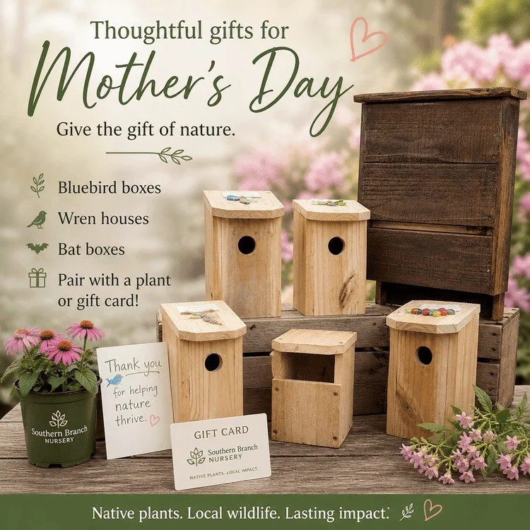 Still looking for a Mother&rsquo;s Day gift?

We&rsquo;ve got a few thoughtful options that are easy to pair together:
🌿 Native plants
🪶 Bluebird boxes @beachbluebirds 
🐦 Wren houses
🦇 Bat boxes
🎁 Gift cards

Whether she&rsquo;s already a garden