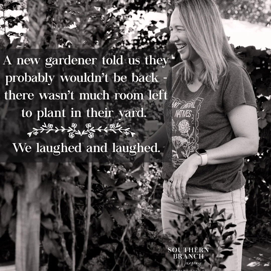 Native plant gardeners know there&rsquo;s always:

&bull; one more sunny spot ☀️ 
&bull; one awkward corner
&bull; one container that could use &ldquo;something&rdquo; 🪴
&bull; one plant you somehow don&rsquo;t already have 💐 

We don&rsquo;t make 