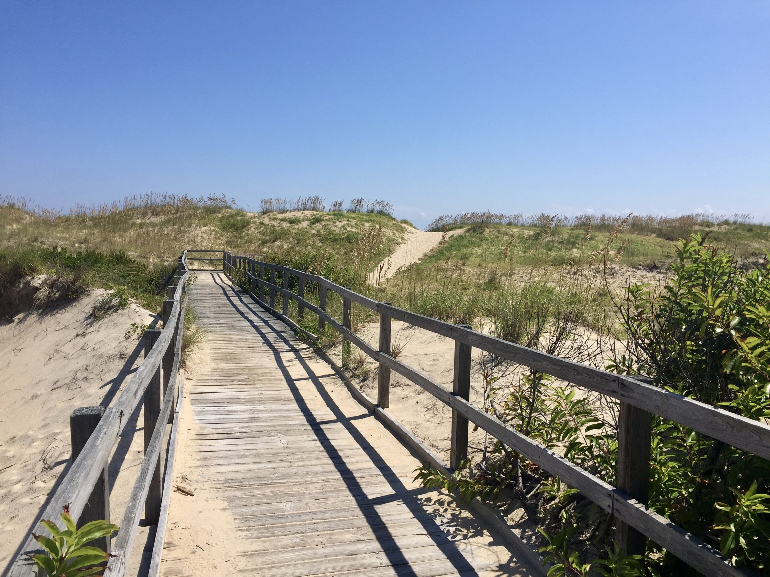 Wooden boardwalk winding through sandy coastal dunes with grasses and shrubs at Back Bay National Wildlife Refuge in Virginia Beach.