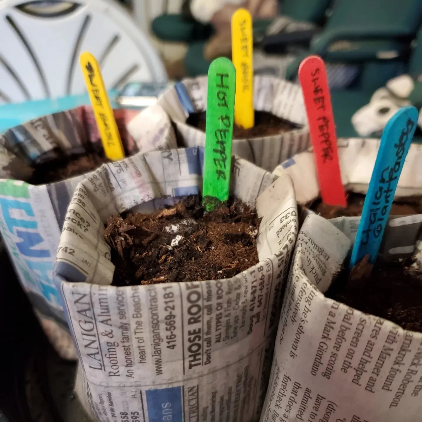 Throwback to last month's Traditional Skills session: seed starting! See you this Sunday at 2pm in the garden for the next session to learn about permaculture! 
.
.
.
.
.
#permaculture #communitygarden #growfood #growcommunity #growknowledge