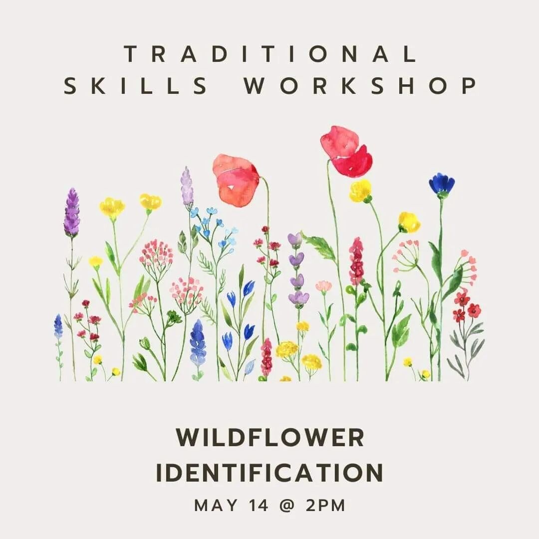 The final Traditional Skills session of the season will be next Sunday, May 14 at 2pm: wildflower identification! All are welcome to attend. Get your tickets at https://www.eventbrite.ca/e/traditional-skills-sessions-tickets-440918076837

.
.
.
.
.

