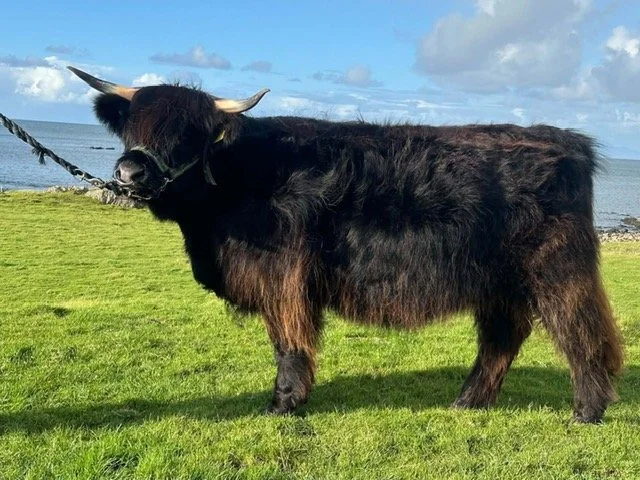 Princess Frangag of Cailaich