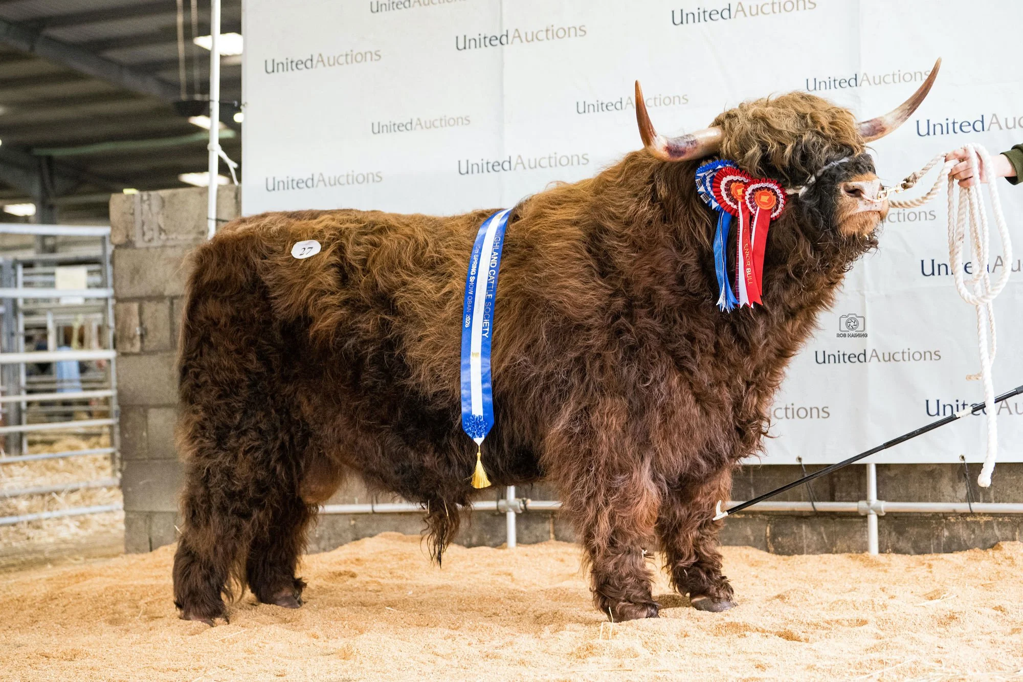 Reserve male, Alexander of Blairordens with his prizes