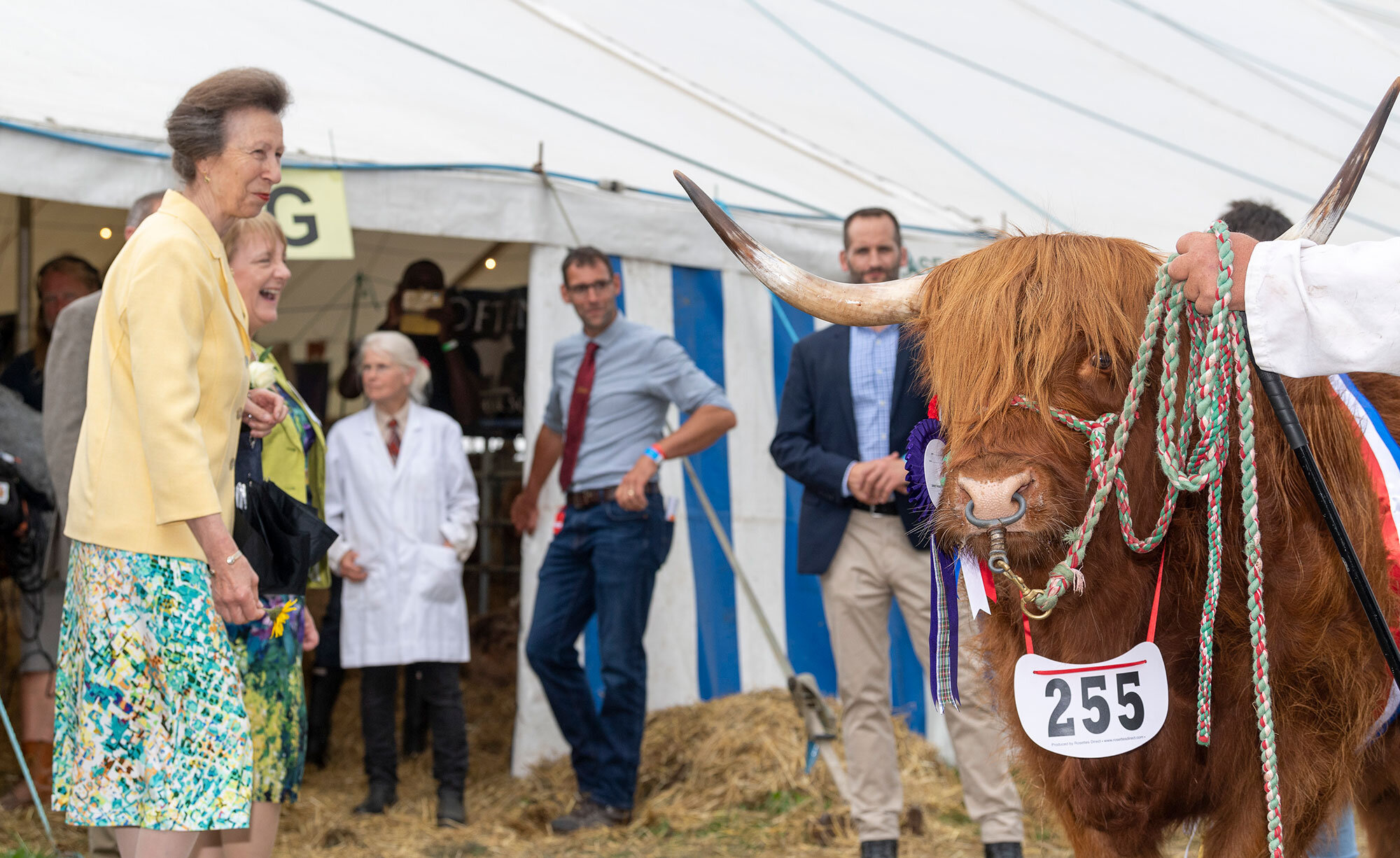 Princess Anne at the Westmorland Show