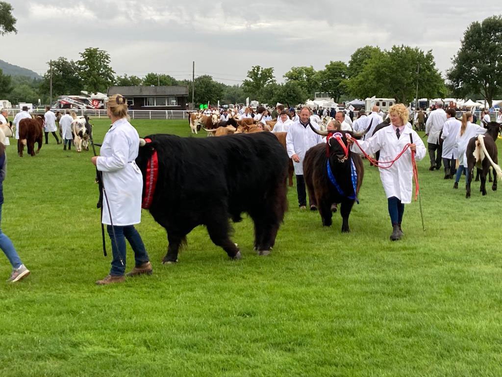 Hamish Dubh 5th of Chadwich, overall champion, Three Counties Show