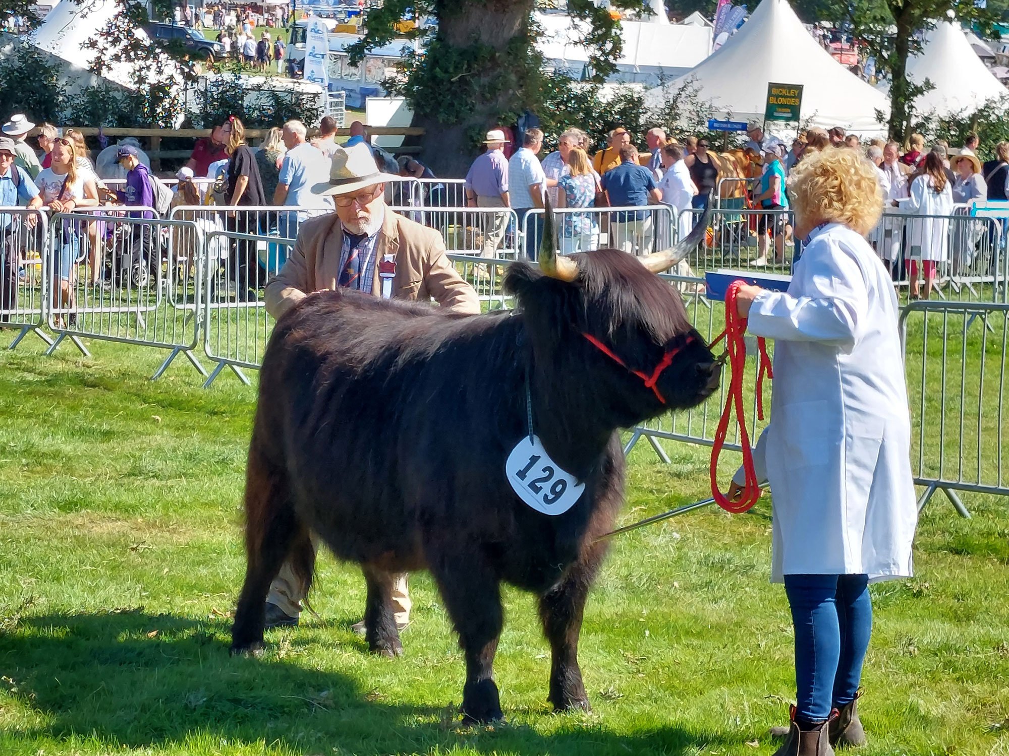 Ellie Dubh of Thistle, overall champion, Burwarton Show