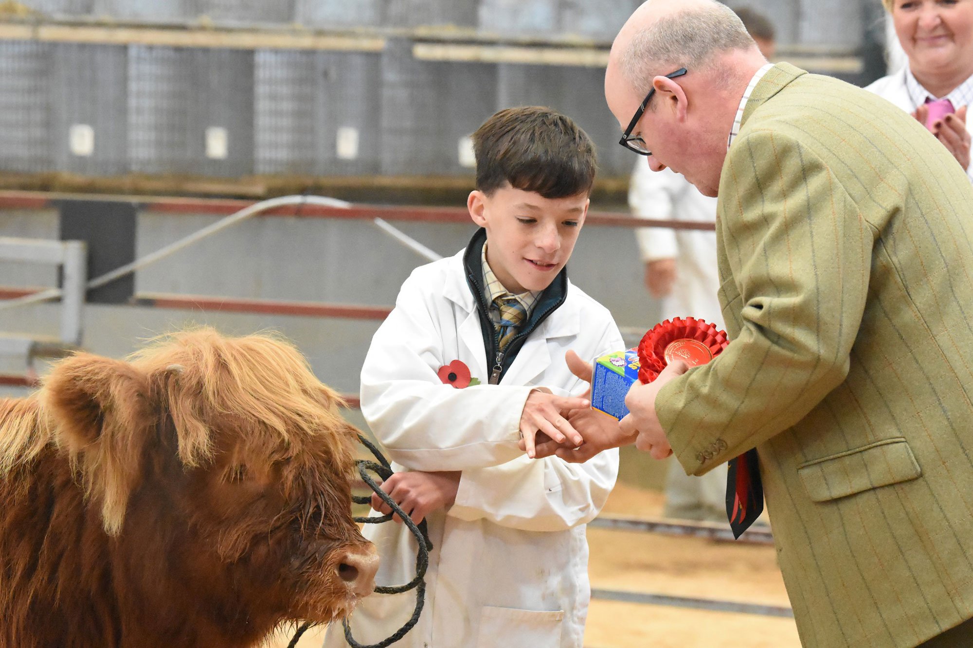 Rising Stars Calf Show, Thirsk, champion junior young handler, Otis Simonite