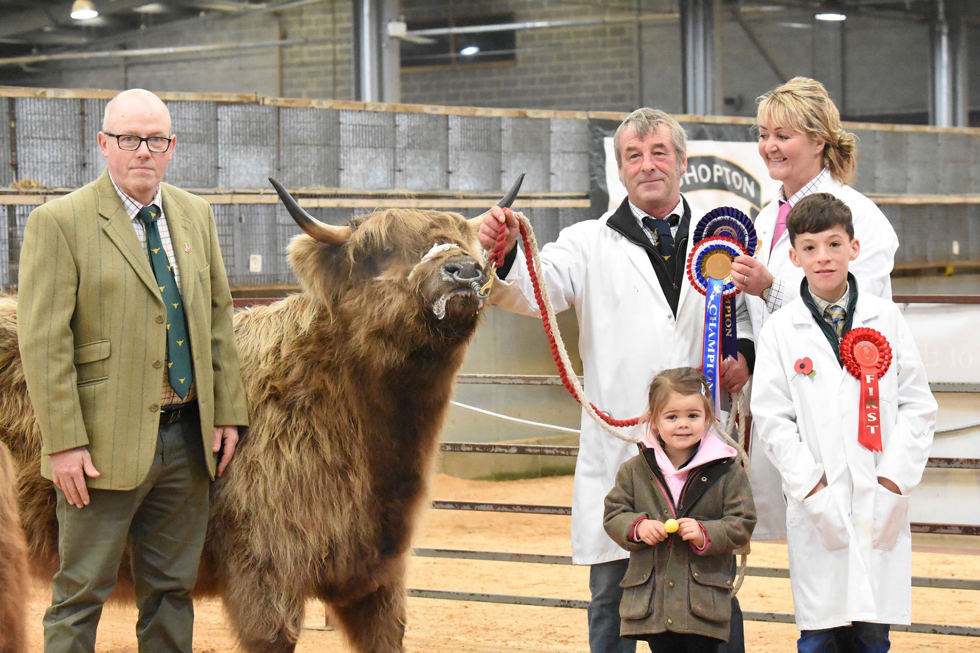 Rising Stars Calf Show, overall champion, Bonnie Millie of Moorside