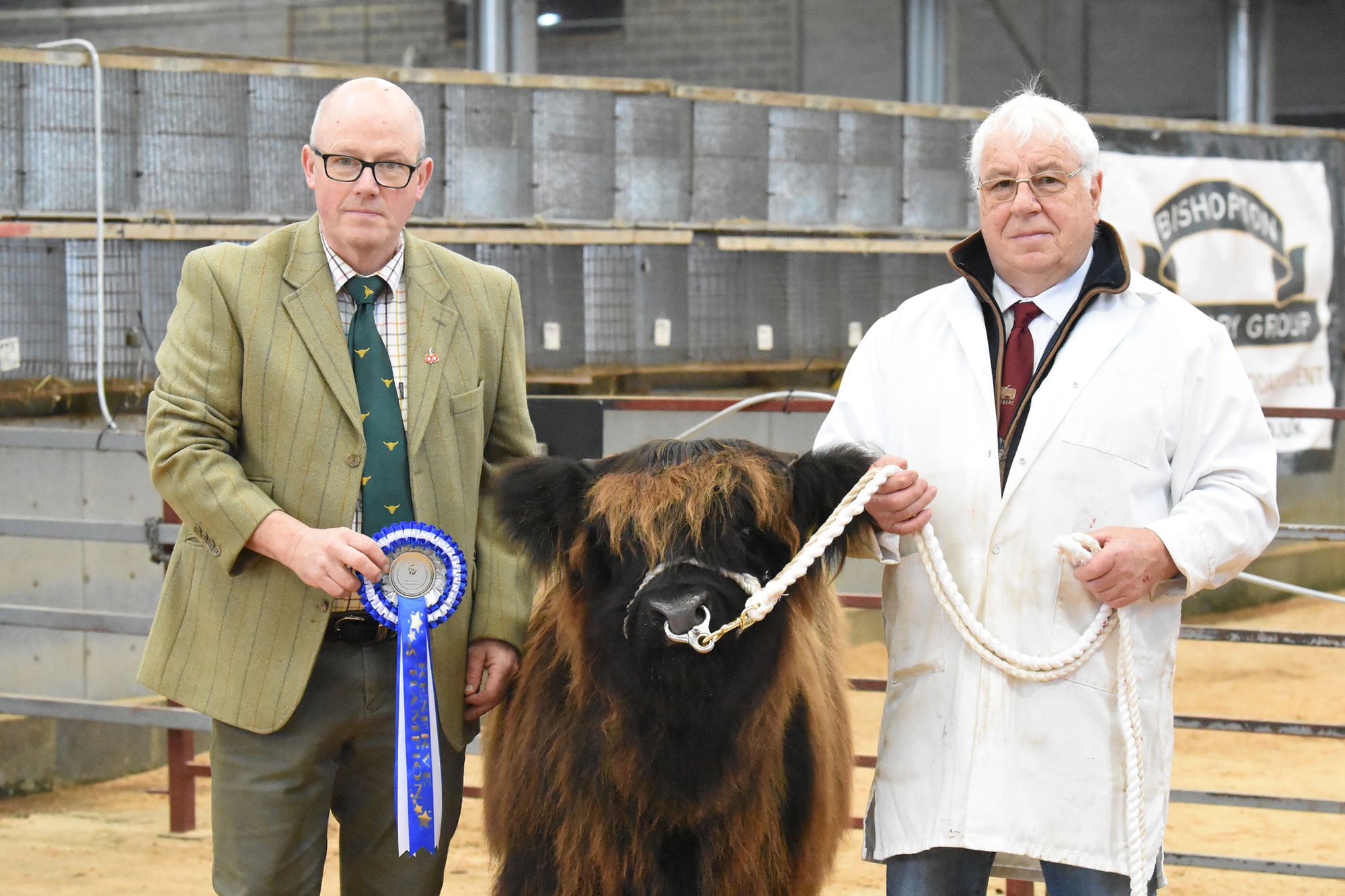 Rising Stars Calf Show, reserve champion, Ebeney of Nortwelle