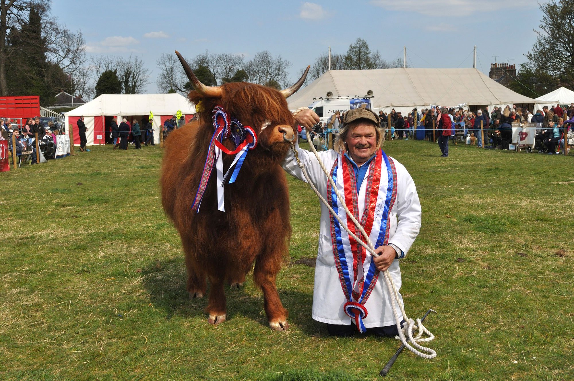 Beith Show, overall champion, Cuailean of Isle of Bute and Scoobie