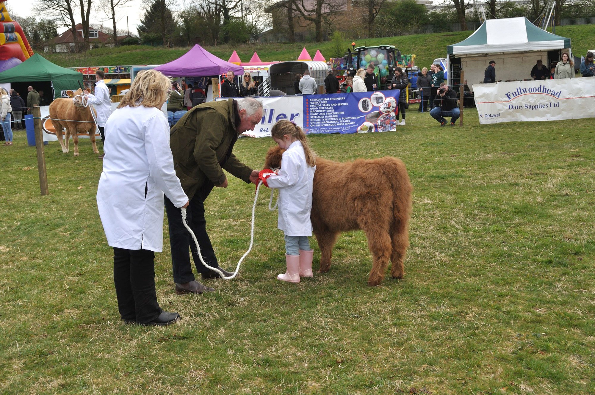 Beith Show, Esmie and her calf