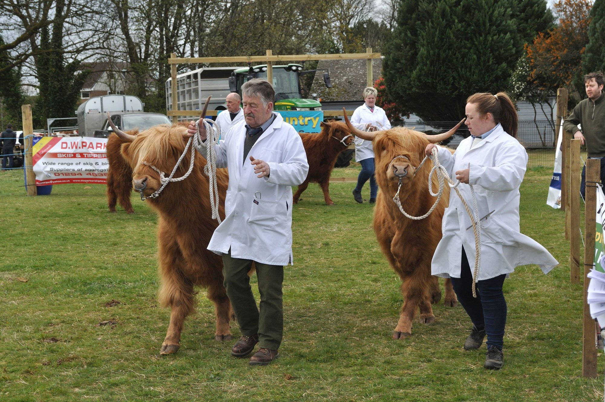 Beith Show, Pollok fold