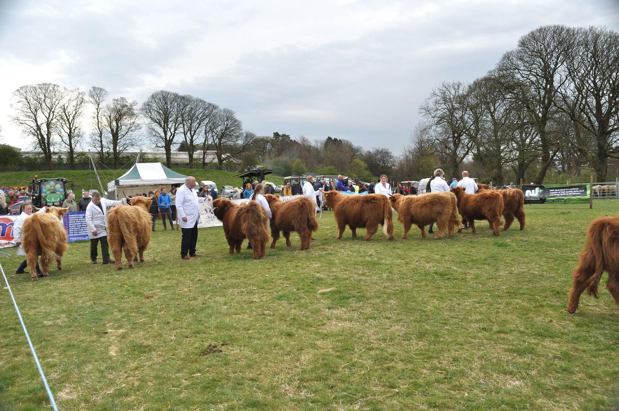 Beith Show, pairs line-up