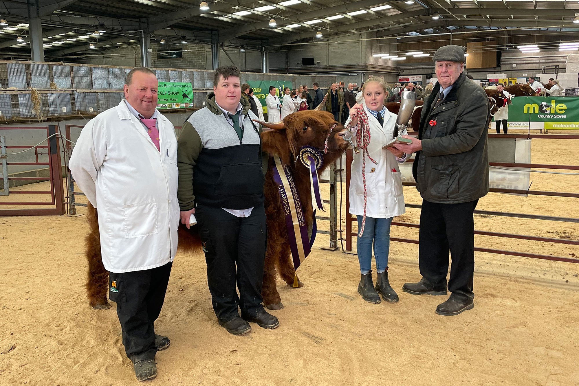 Rising Stars Calf Show, champion, Mairina Eve 3rd of Borland