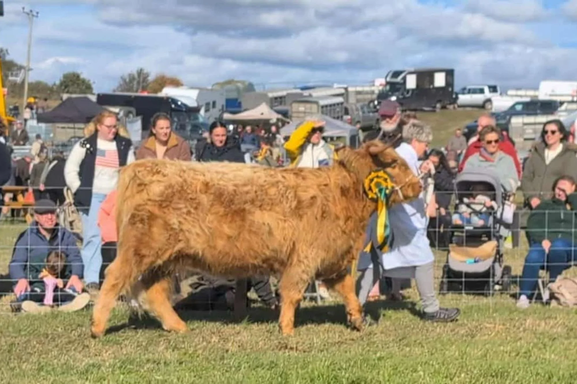 Penistone Show champion, Barabel 10th of Warmleigh with owner Allison Whitehead