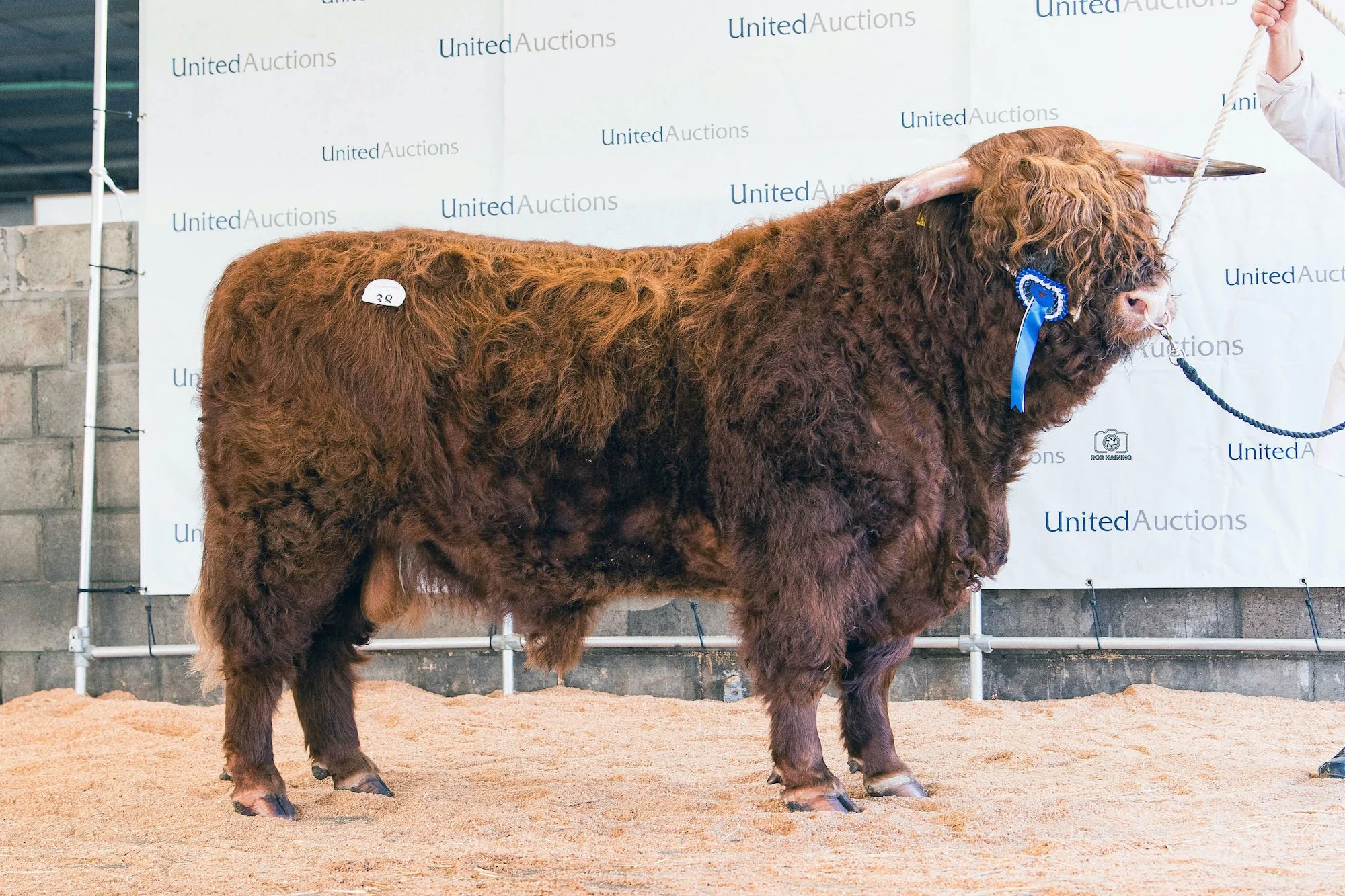 Jock of Cnoc Na Sith