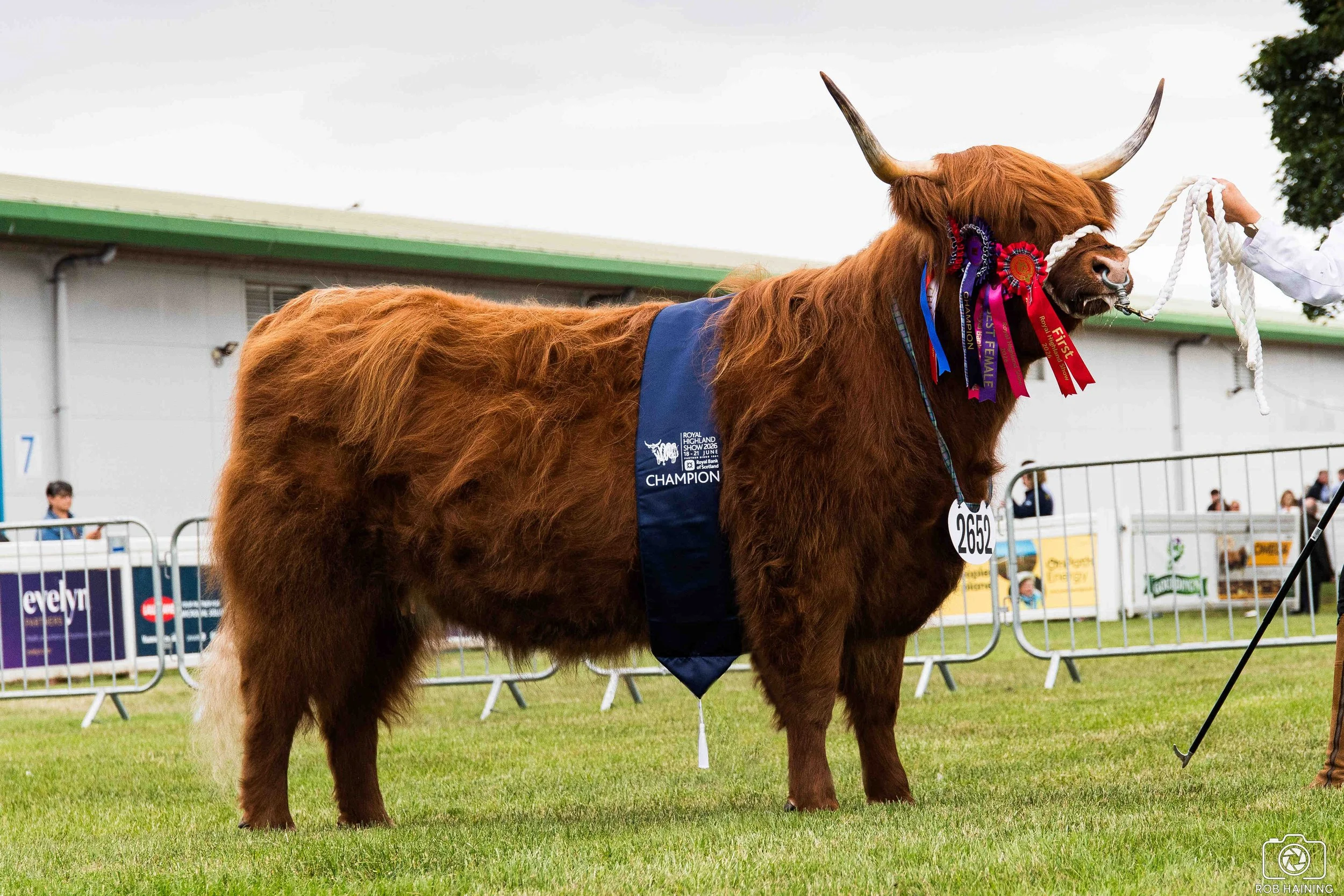 Royal Highland Show 2026