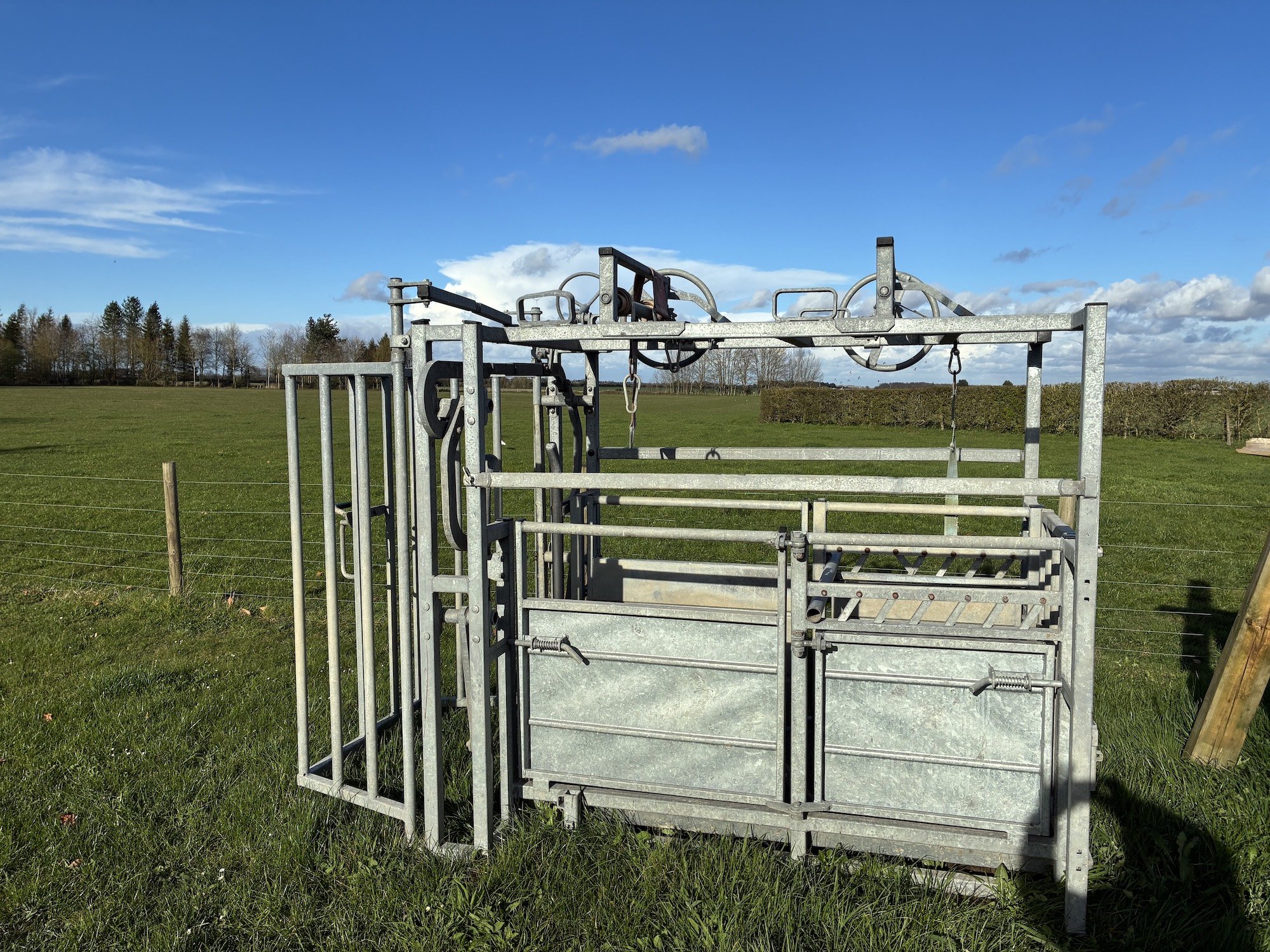 Highland cattle crush for sale