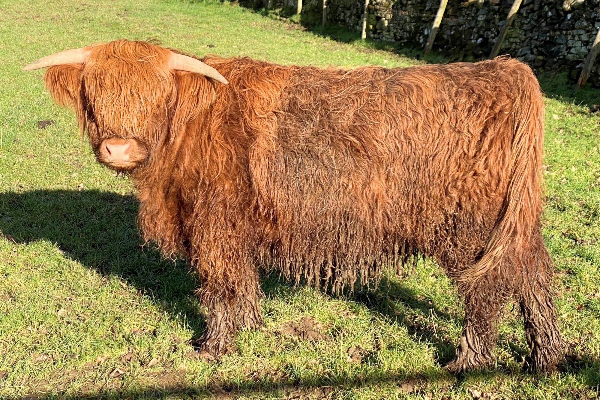 Rita 5th of Highcross