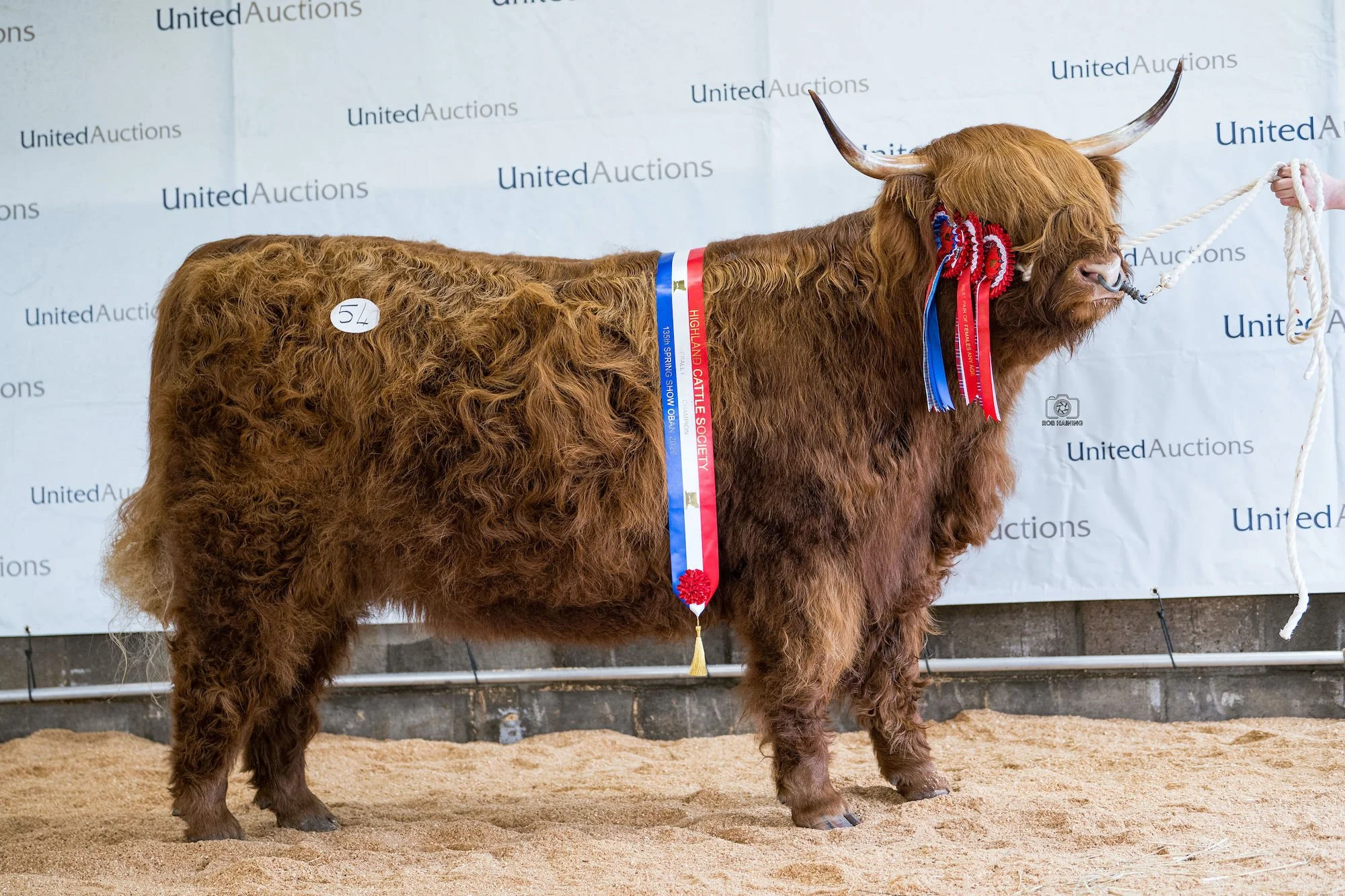 Female champion, Nighean Ruadh 2nd of Luruha with her prizes